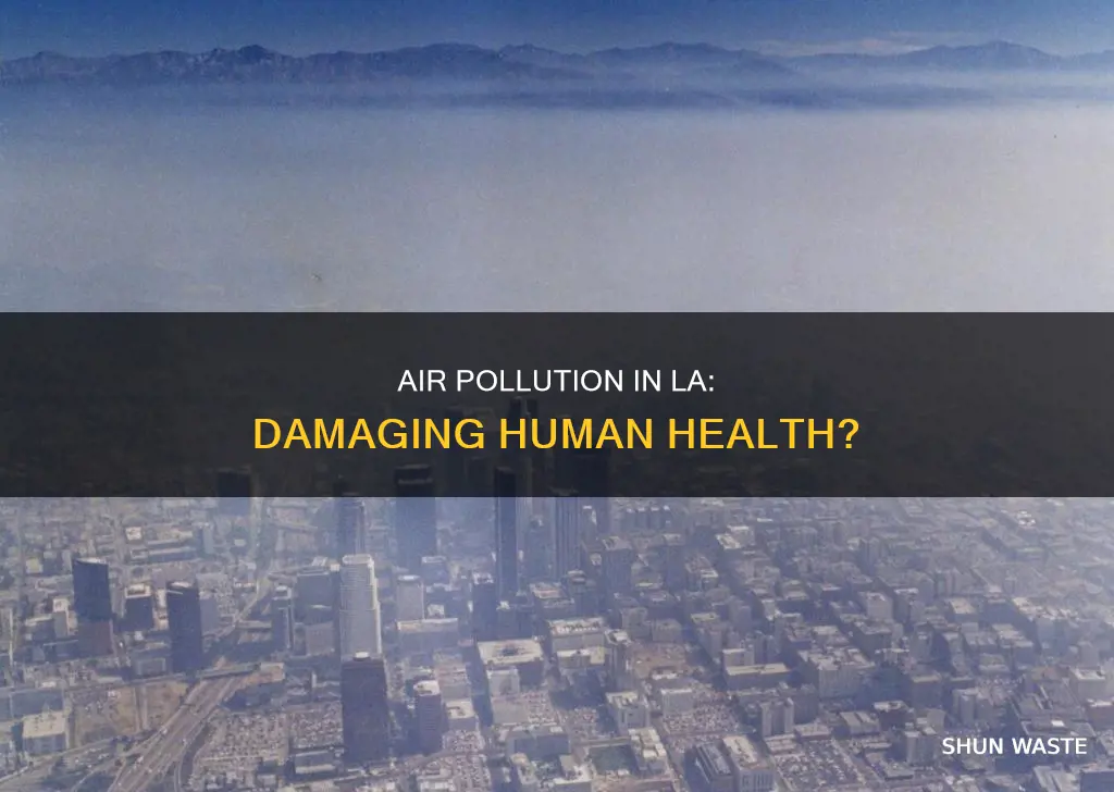 how does air pollution in los angeles affect human health