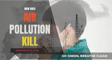 Air Pollution: A Slow, Silent Killer