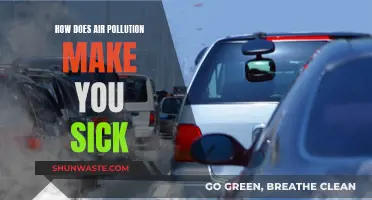 Air Pollution: A Slow Poisoning of Our Health