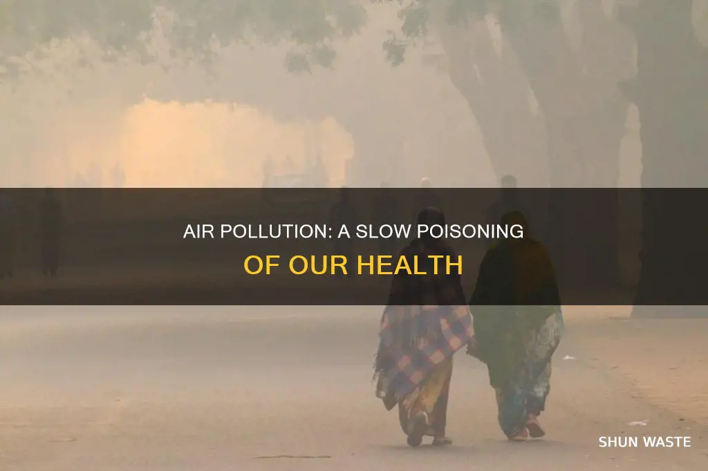 how does air pollution make you sick