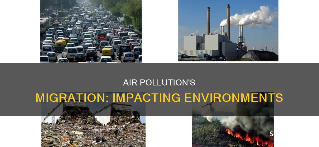 how does air pollution moving affect the environment around it