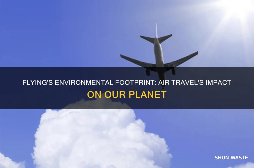 how does air travel impact on the environment