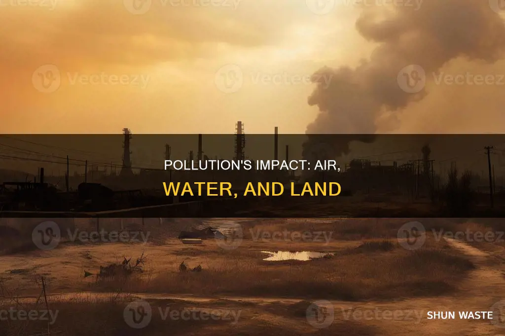 how does air water and land pollution affect the environment