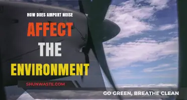 Airport Noise Pollution: Environmental Impacts and Sustainable Solutions Explored