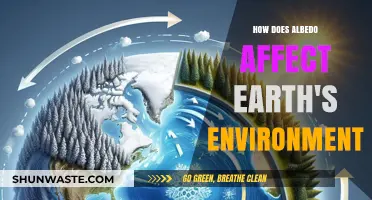 Albedo's Impact: Reflecting on Earth's Climate and Environmental Changes