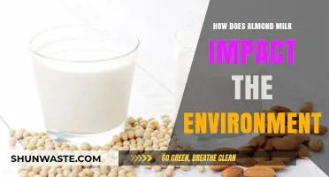 Almond Milk's Environmental Impact: Sustainability, Water Use, and Carbon Footprint