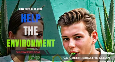 Aloe Vera's Eco-Friendly Impact: Sustainable Benefits for a Greener Planet