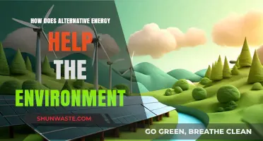 Alternative Energy: A Sustainable Solution for Environmental Preservation and Renewal