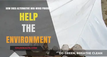 Eco-Friendly Alternatives: Non-Wood Products Saving Our Forests and Planet