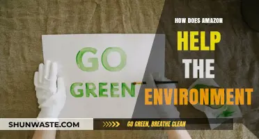 Amazon's Green Initiatives: Sustainable Practices for a Healthier Planet