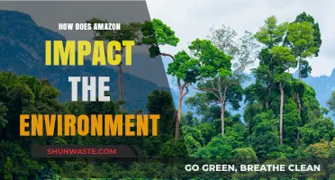 Amazon's Environmental Footprint: Impacts, Challenges, and Sustainable Solutions