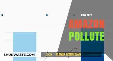 Amazon's Pollution Problem: The Dark Side of Online Shopping