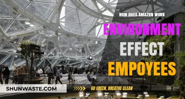 Amazon's Work Environment: Impact on Employee Well-being and Productivity