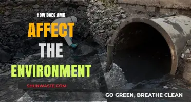 AMD's Environmental Impact: Unveiling the Hidden Costs of Technology