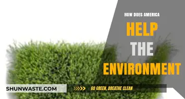 America's Green Initiatives: Protecting Our Planet for Future Generations