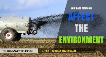 Ammonia's Environmental Impact: Pollution, Ecosystem Disruption, and Mitigation Strategies