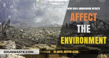 Environmental Impact of Ammonium Nitrate: Risks, Effects, and Concerns