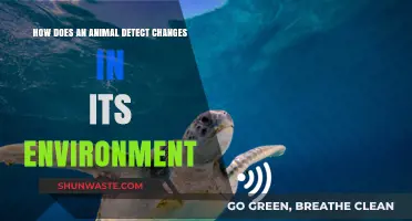Animal Senses: Detecting Environmental Changes for Survival and Adaptation