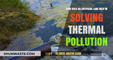 Artificial Lakes: Cooling Power Plants, Reducing Thermal Pollution
