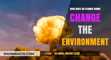 Atomic Bomb's Environmental Impact: Devastation, Radiation, and Long-Term Effects