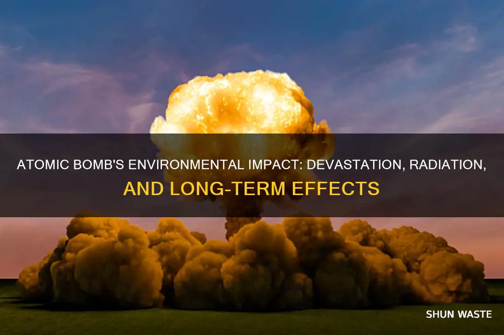 how does an atomic bomb change the environment