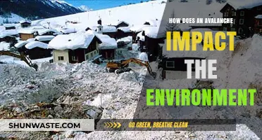 Avalanche Aftermath: Environmental Impacts and Ecosystem Disruption Explained