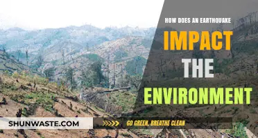 Earthquakes' Environmental Aftermath: Shifting Landscapes and Ecosystems Disrupted