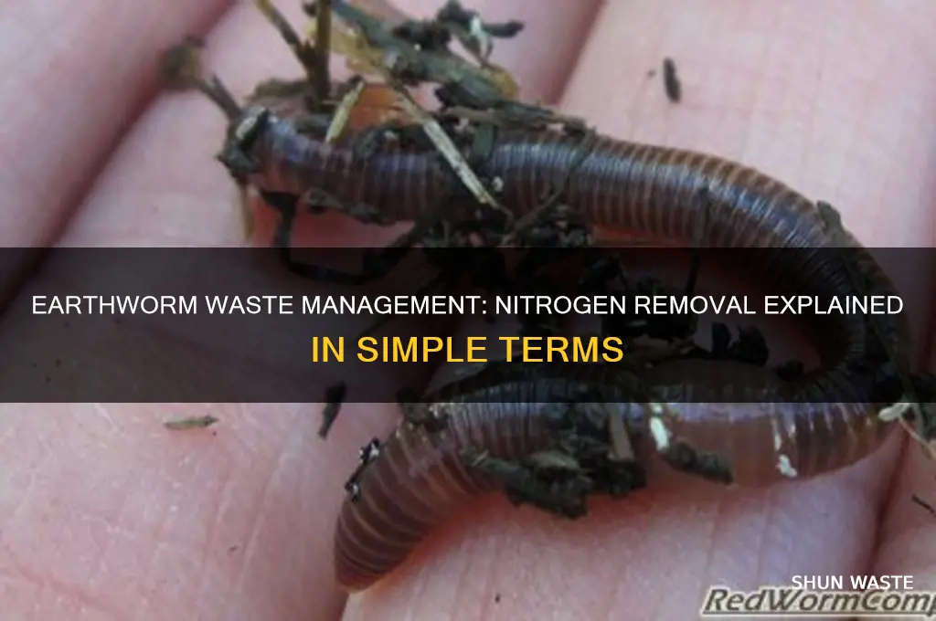 how does an earthworm remove nitrogenous waste