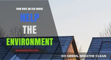 Eco-Friendly Living: How Eco Houses Benefit Our Planet and Future