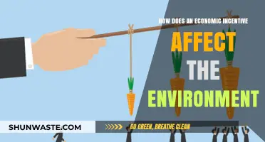 Economic Incentives: Balancing Growth and Environmental Sustainability