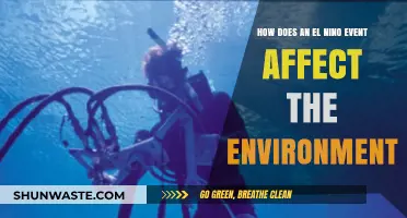 El Niño's Environmental Impact: Climate Shifts and Ecosystem Disruptions Explained