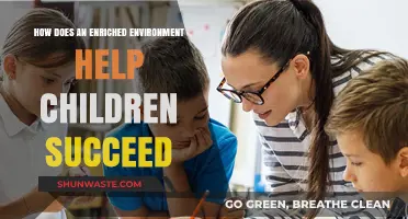 Enriched Environments: Unlocking Children's Potential for Success and Growth
