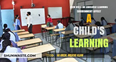 Enriched Learning Environments: Unlocking a Child's Cognitive Potential and Growth