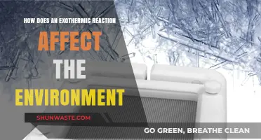 Exothermic Reactions: Environmental Impacts and Sustainable Solutions Explored