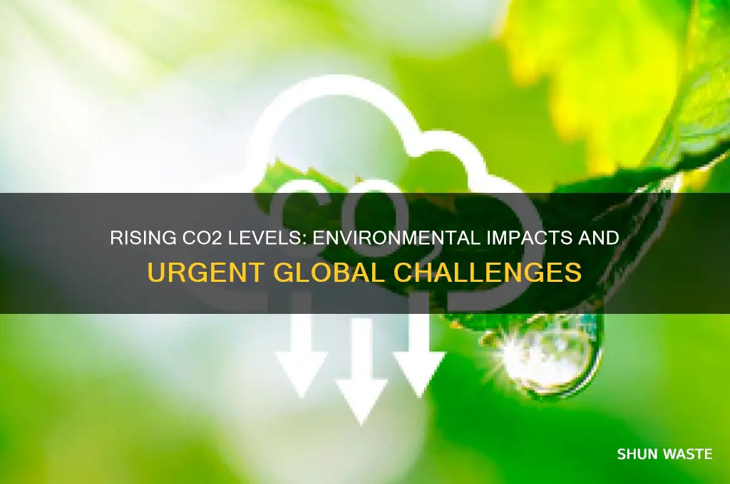 how does an increase in carbon dioxide affect the environment