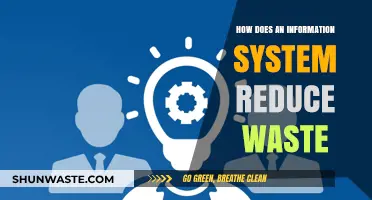 Streamlining Efficiency: How Information Systems Minimize Waste and Boost Productivity