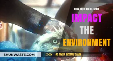 Devastating Effects of Oil Spills on Ecosystems and Wildlife