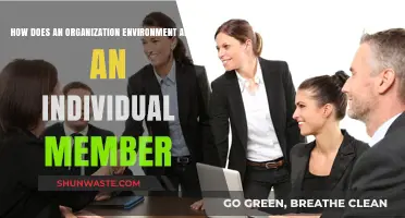 Organizational Environment's Impact on Individual Members: A Comprehensive Analysis