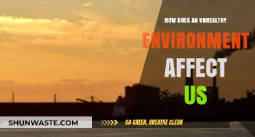 Unhealthy Environments: Impact on Health, Well-being, and Daily Life