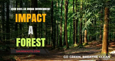 Urban Expansion's Effects on Forest Ecosystems: Challenges and Adaptations