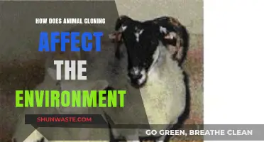 Animal Cloning's Environmental Impact: Risks, Ethics, and Ecosystem Consequences