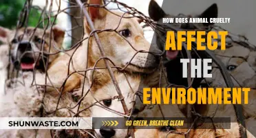 Animal Cruelty's Environmental Impact: Unseen Consequences of Neglect and Abuse