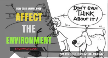 Animal Waste Impact: How Poop Shapes Our Environment and Ecosystems