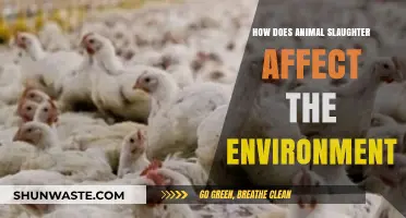 Environmental Impact of Animal Slaughter: A Comprehensive Analysis