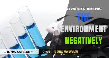 Animal Testing's Hidden Costs: Environmental Impacts and Ecological Consequences