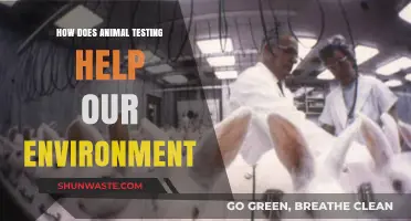 Animal Testing's Role in Advancing Environmental Conservation and Sustainability