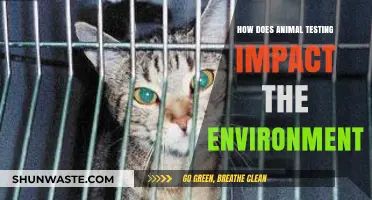 Animal Testing's Environmental Toll: Unseen Consequences and Ecological Impact
