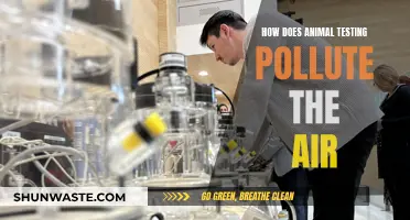 Animal Testing's Environmental Impact: Air Pollution