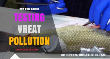Animal Testing: A Costly Pollution Crisis