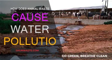 Animal Waste: A Hidden Threat to Our Waterways